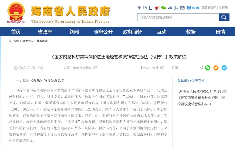 海口网站建设：助力企业腾飞的技术翅膀